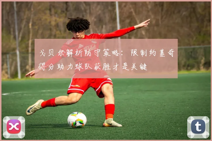 戈贝尔解析防守策略：限制约基奇得分助力球队获胜才是关键