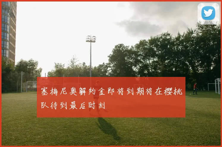 塞梅尼奥解约金即将到期将在樱桃队待到最后时刻