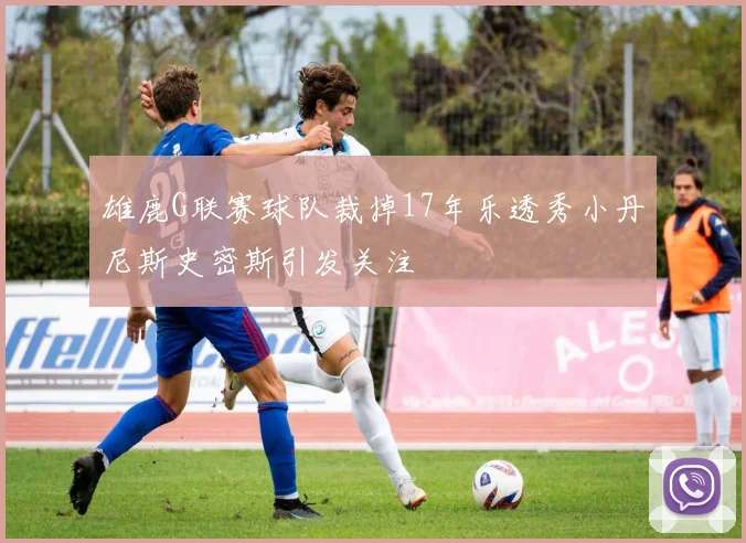 雄鹿G联赛球队裁掉17年乐透秀小丹尼斯史密斯引发关注