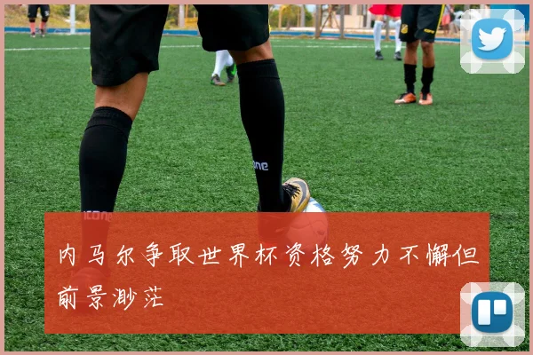 内马尔争取世界杯资格努力不懈但前景渺茫
