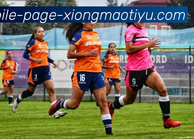 熊猫体育平台生态图