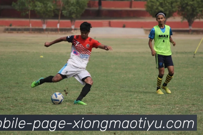 熊猫体育APP 封面图